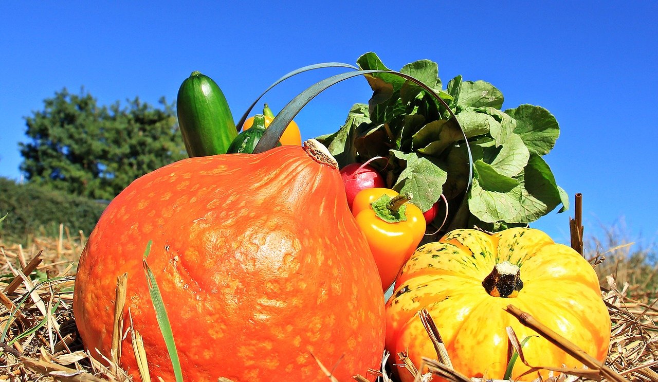 Les fruits et légumes de saison : Octobre