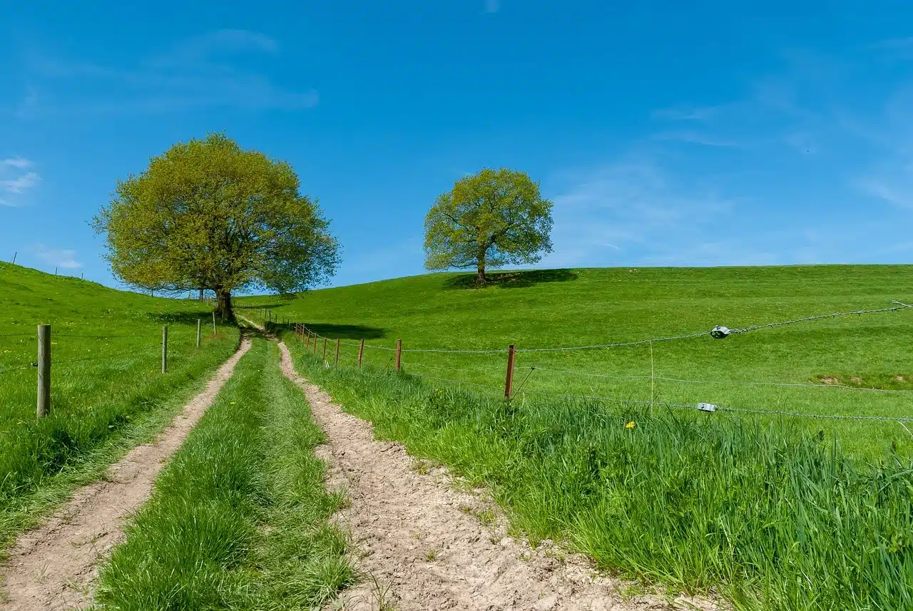 Paysage de l'Orne